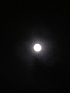 満月。