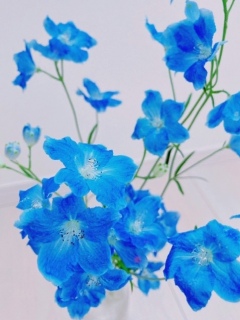 青い花。