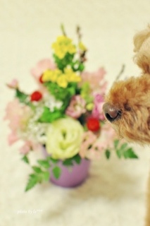 花と鼻
