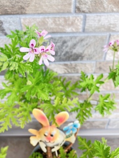 炢