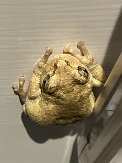 R^